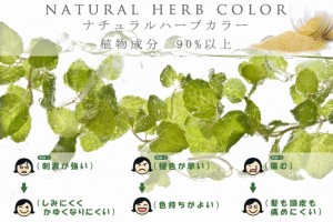 lino-herb-pop
